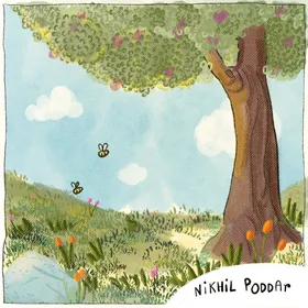Cover of drugs